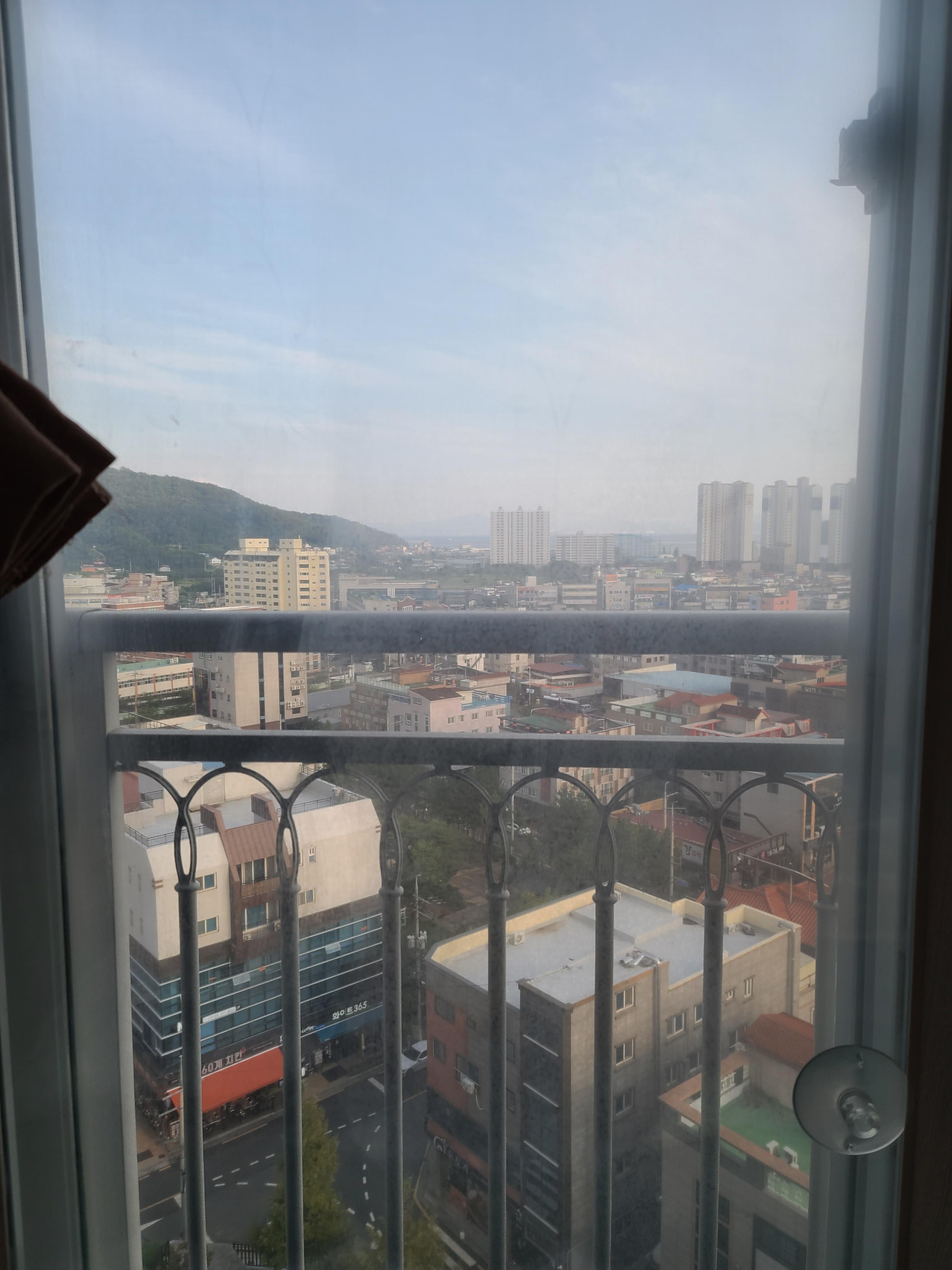 냥냥이들의 캣워크, 캣볼을 달았다. (내돈내산,스압주의)