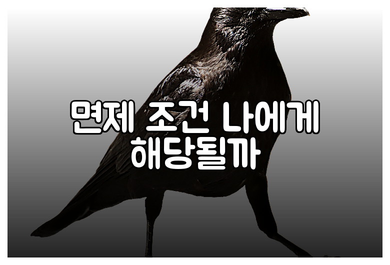 면제 조건 나에게 해당될까