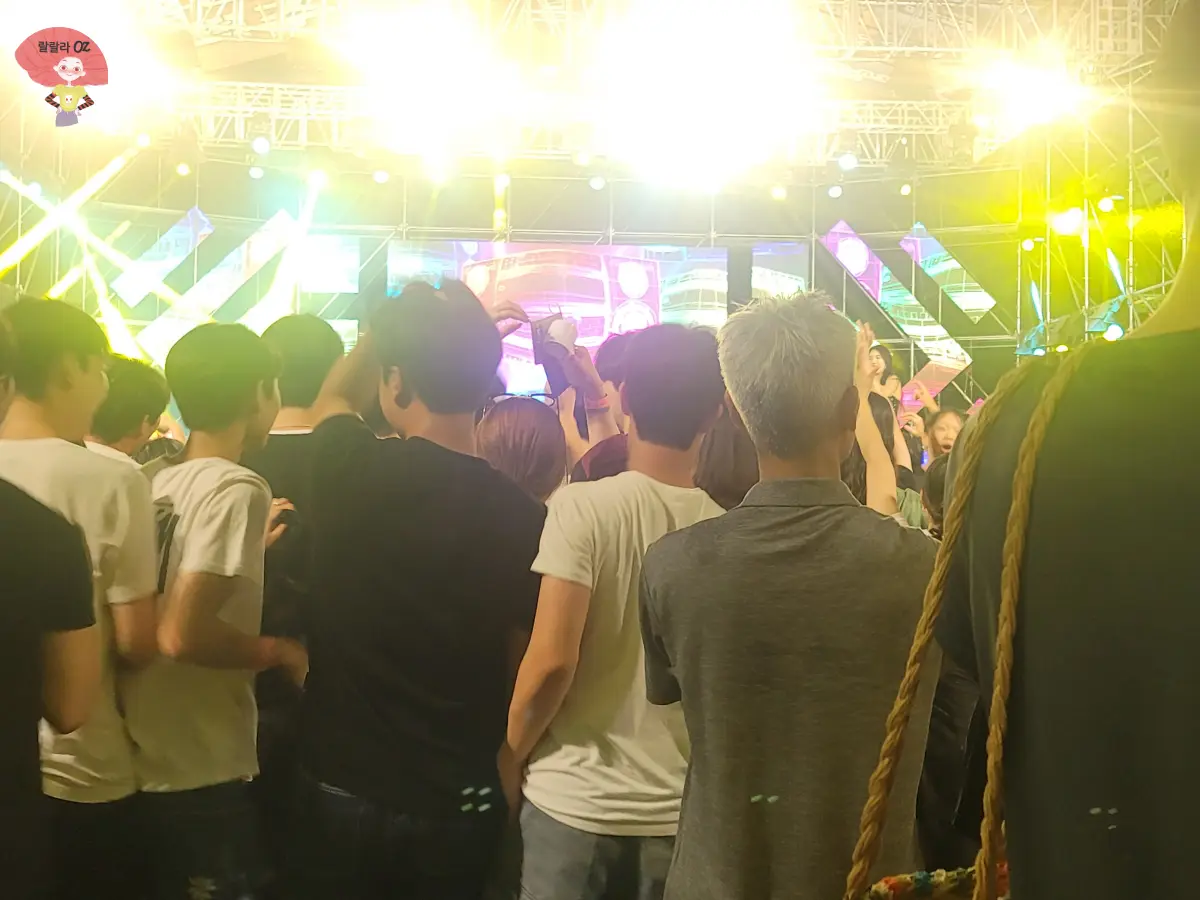 강원도-홍천-맥주축제-스탠딩-관객들