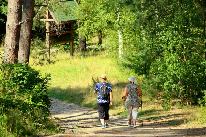 2025년 노인 재취업 정책