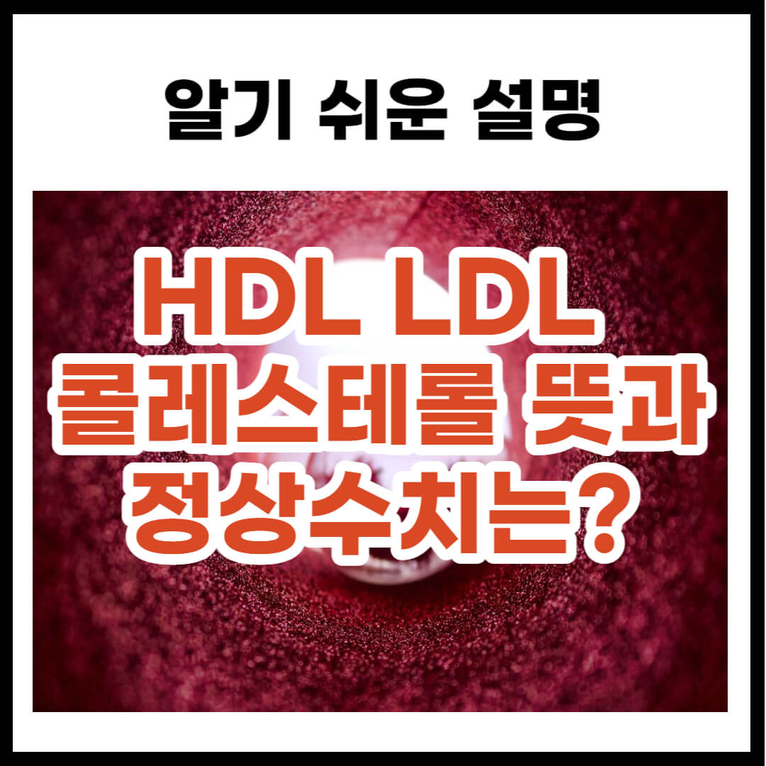HDL LDL 콜레스테롤 뜻과 정상수치