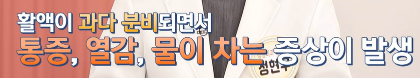 보스웰리아 효능