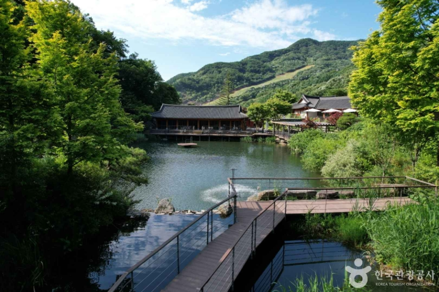 화담숲 예약 & 방문 가이드 ❘ 봄 벚꽃부터 가을 단풍까지 완벽 정리