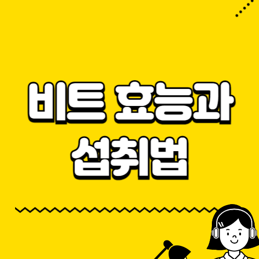 비트 효능과 섭취법