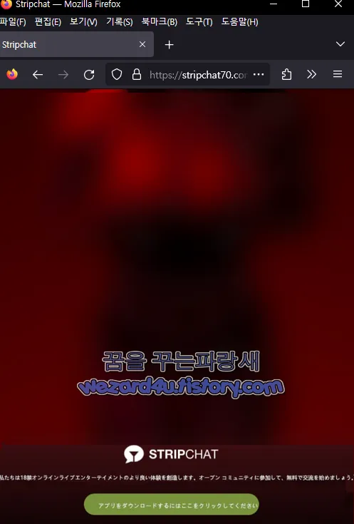 Stripchat 메인 화면