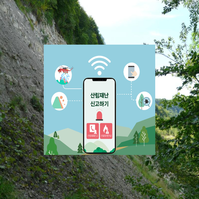 산사태