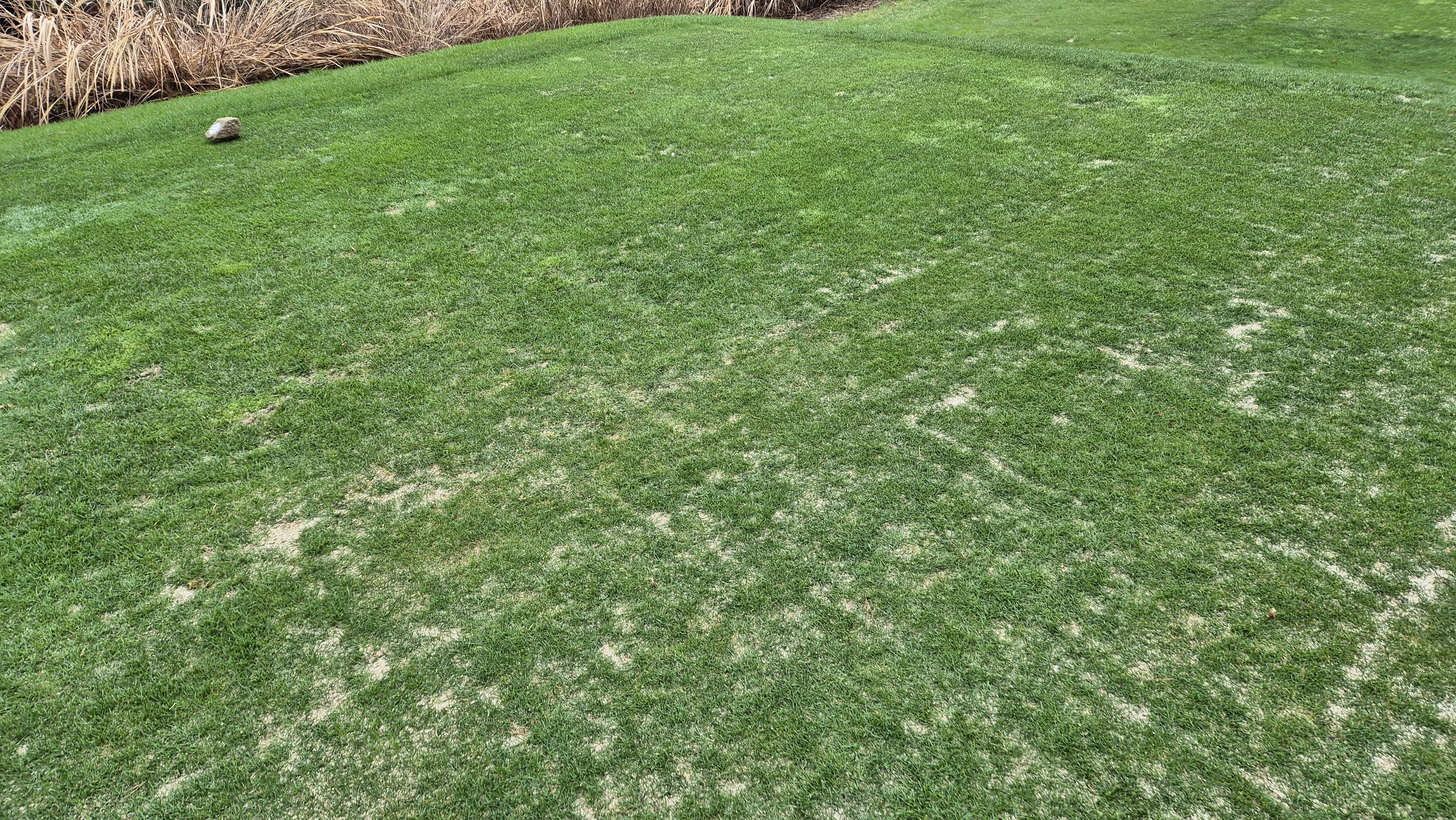 레인보우힐스cc 동-남 코스 티잉구역 상태