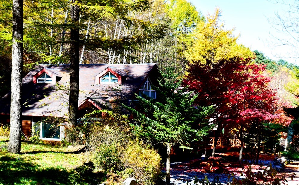 강원도 자연 휴양림 정보