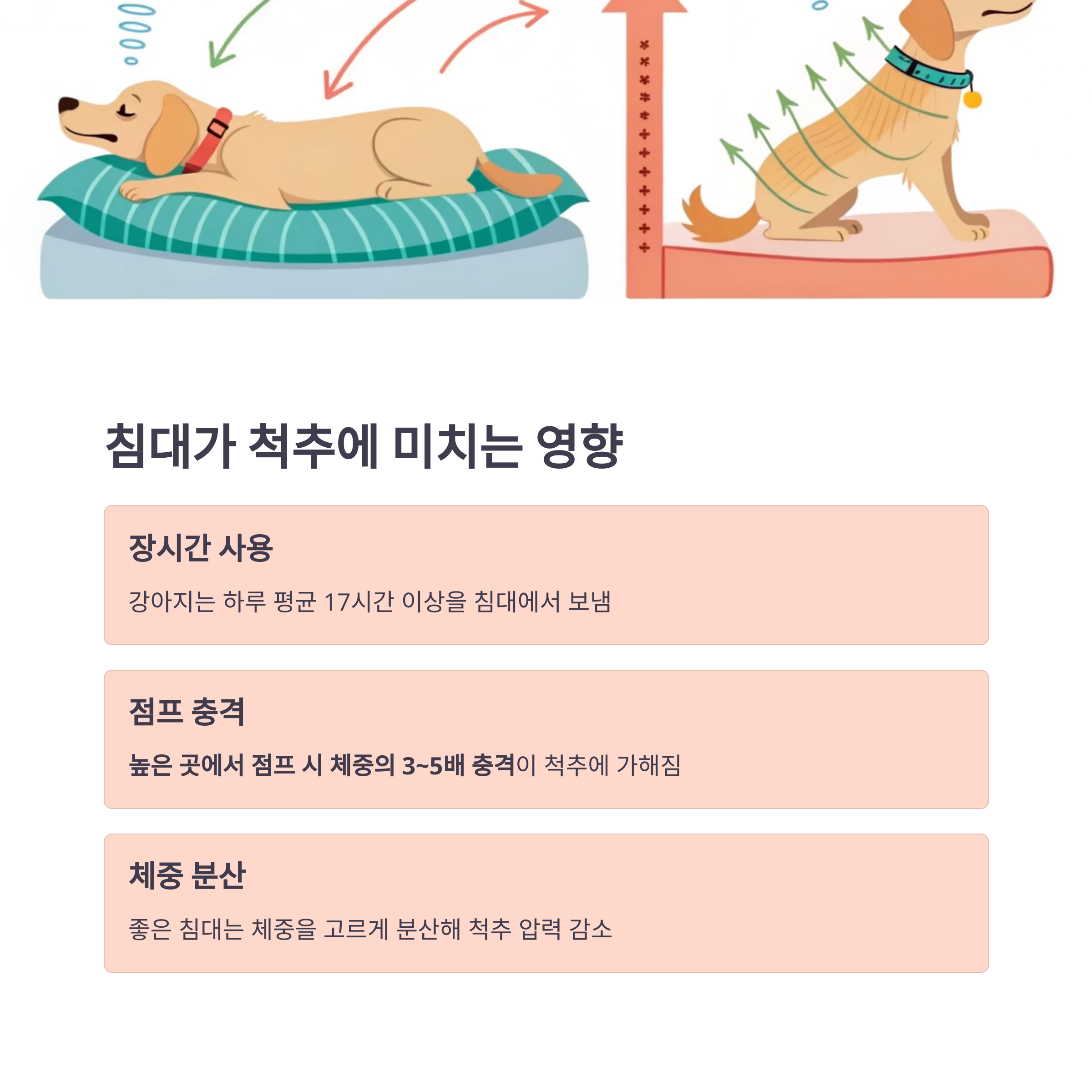 침대가 척추에 미치는 영향