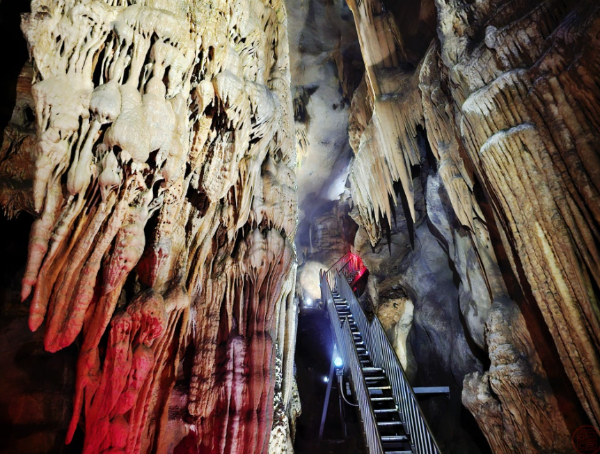 충청북도 여름 여행