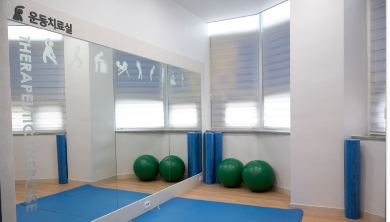 은평구 수색동 정형외과 유명하고 잘하는 곳 추천 TOP 5