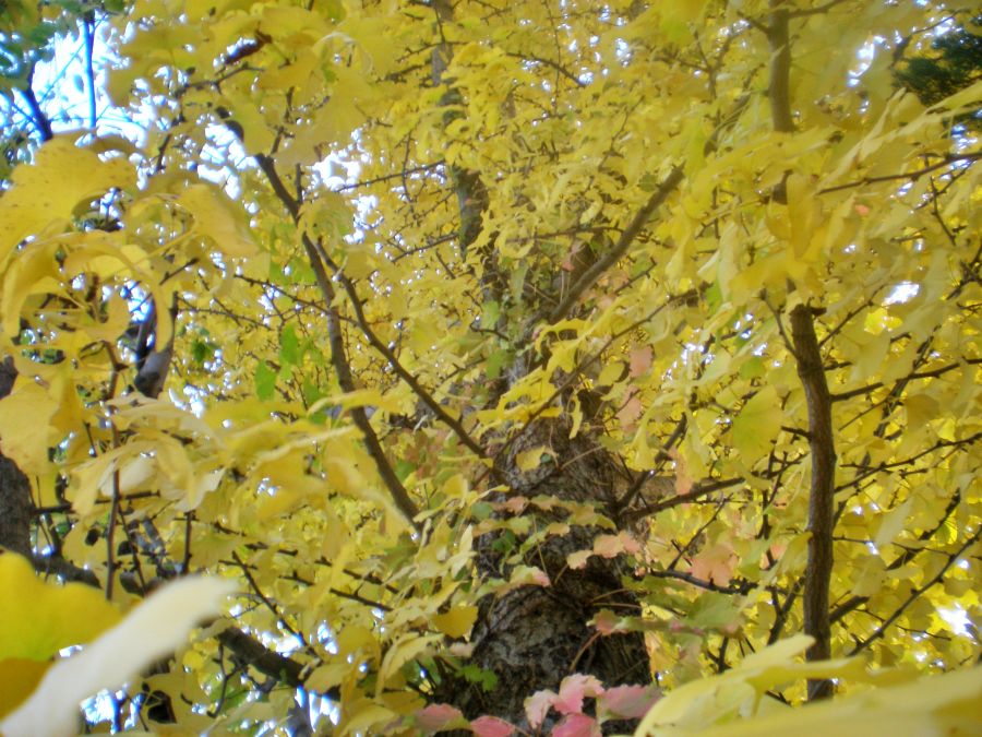 기장군 철마면 이곡마을