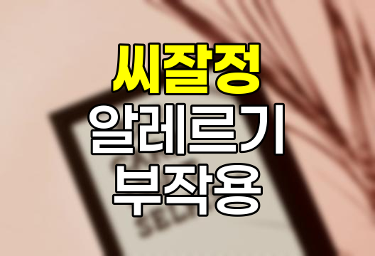 씨잘정 5mg 상세 정보, 효능, 부작용, 복용 시 주의사항 (3세대 항히스타민제) 관련 정보