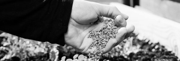 화분 비료 필수 지식 ③ 부족 · 과잉