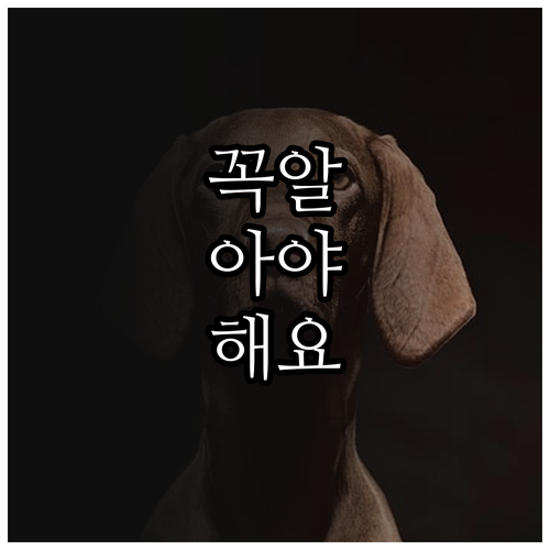 2025 동작구 친환경차 보조금 자격..