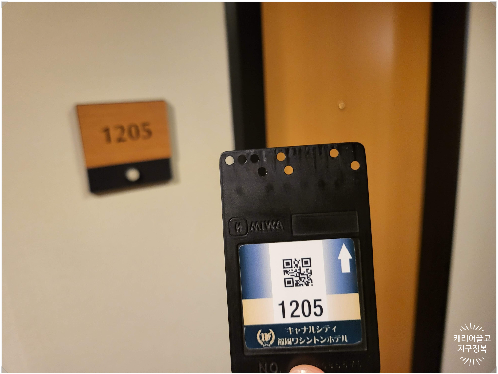 하카타 워싱턴 호텔