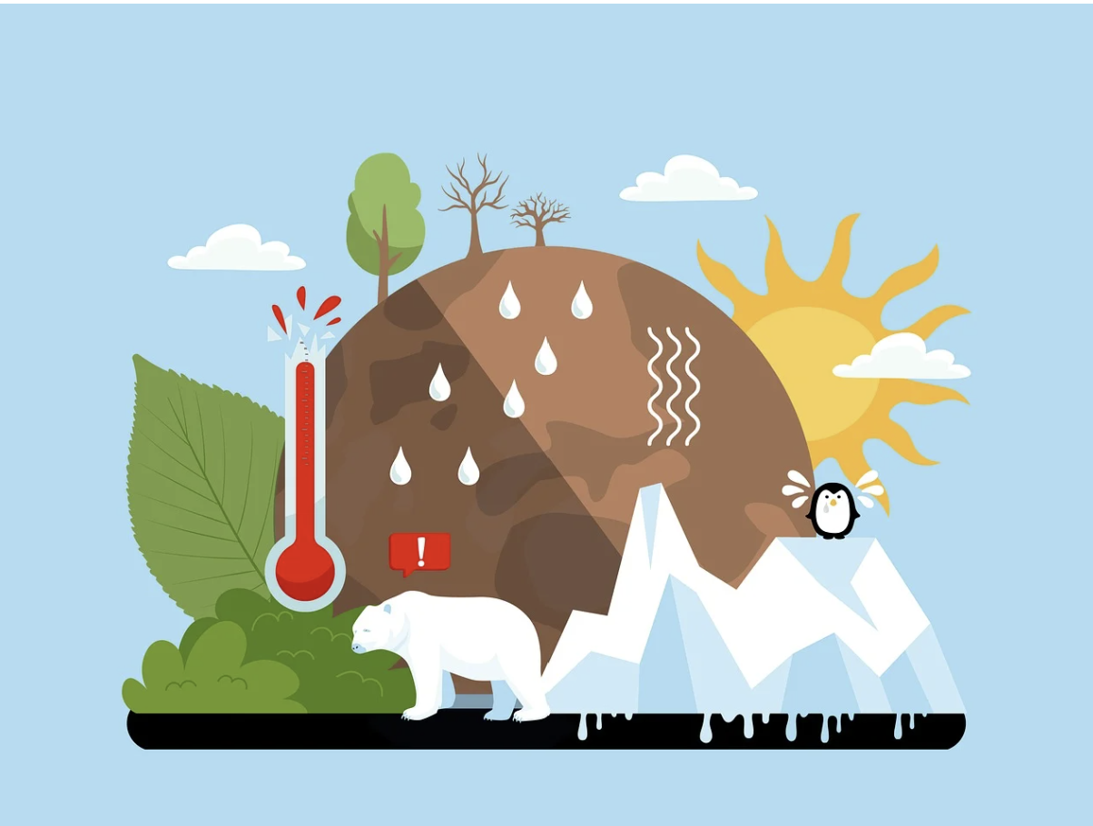 기후변화 시대의 농업 생존 전략: 이상기후를 이겨내는 현장 노하우