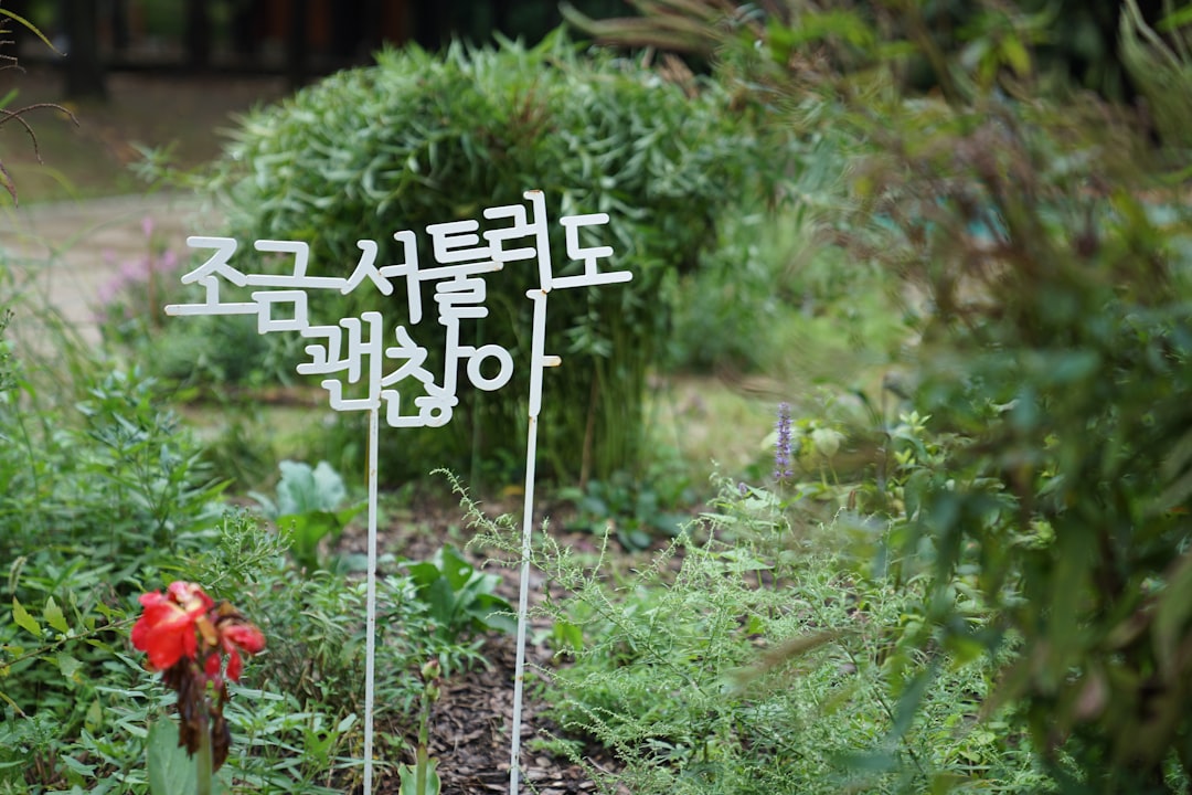 Hangul