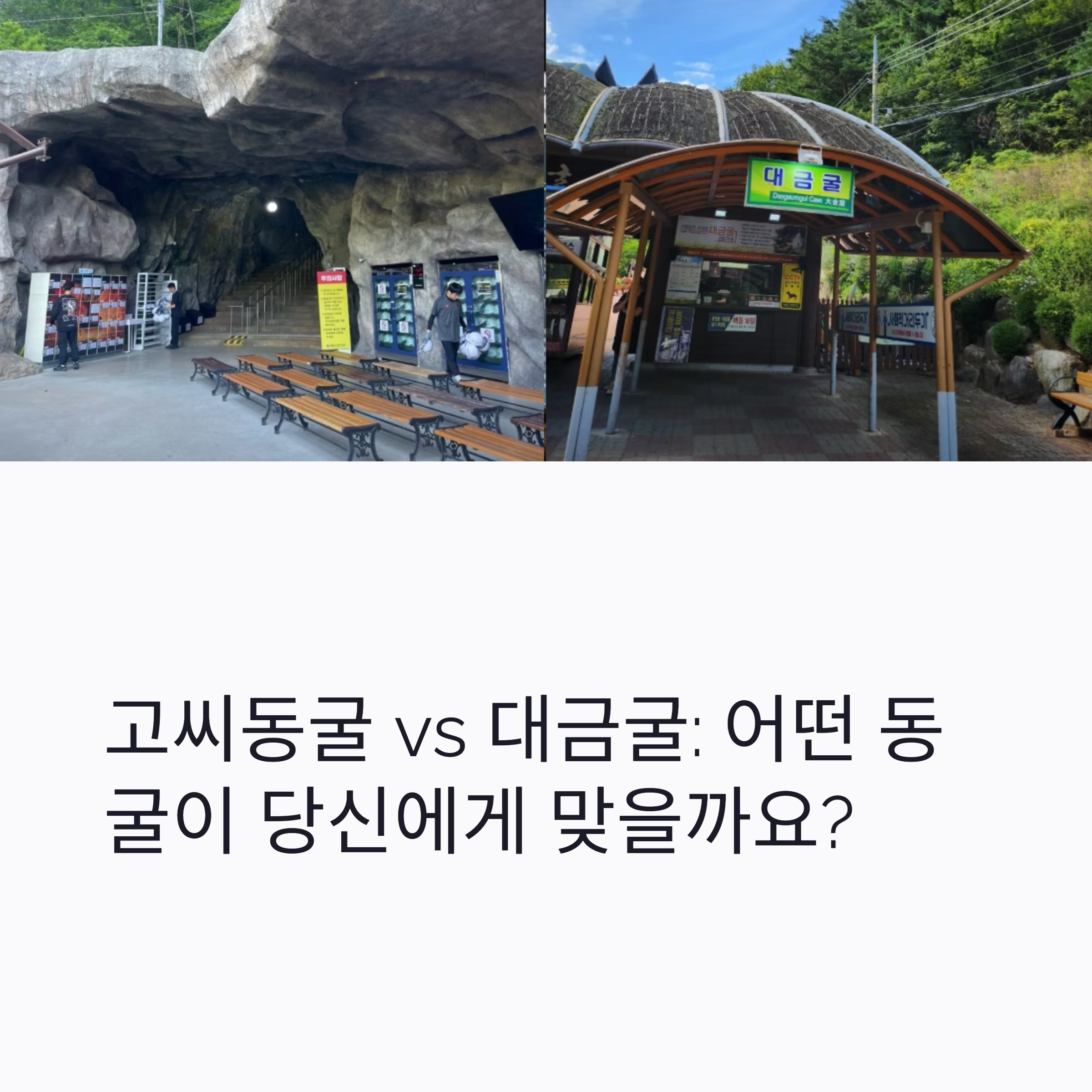 고씨동굴 vs 대금굴 : 어떤 동굴이 당신에게 맞을까요?