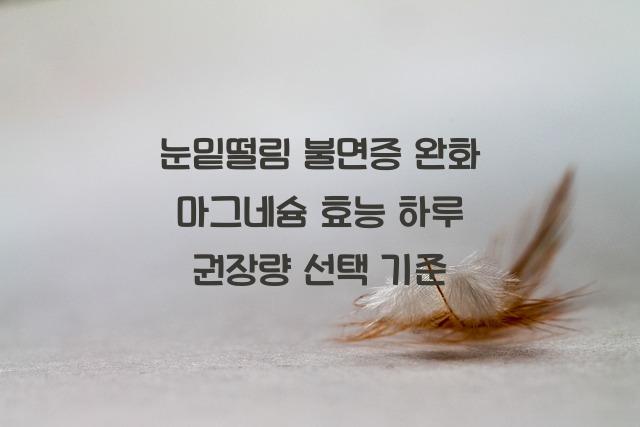 마그네슘 효능