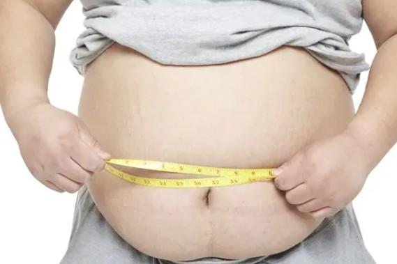 파비플로라 알파CD