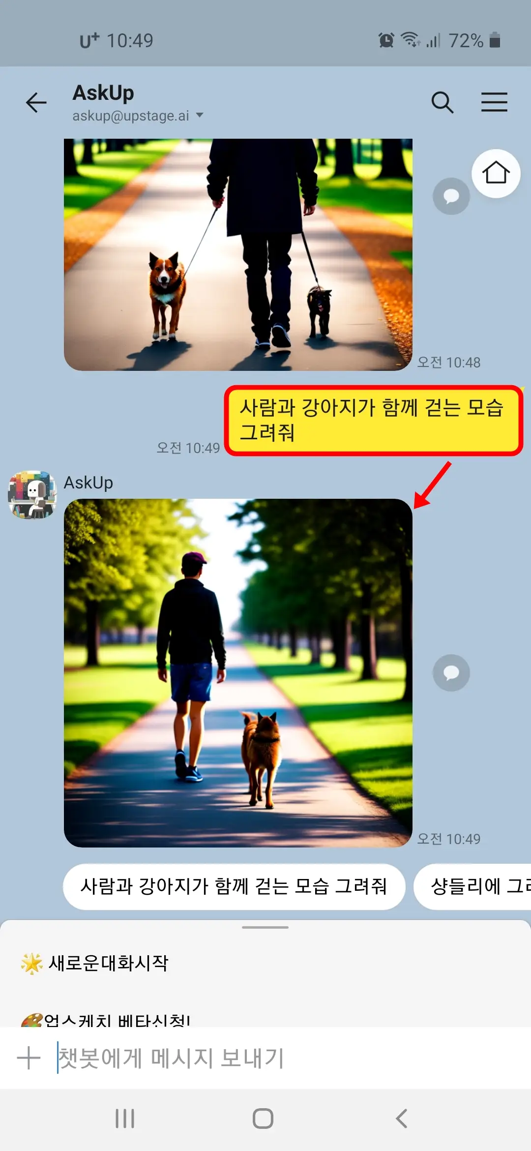 사람과 강아지가 함께 걷는 모습