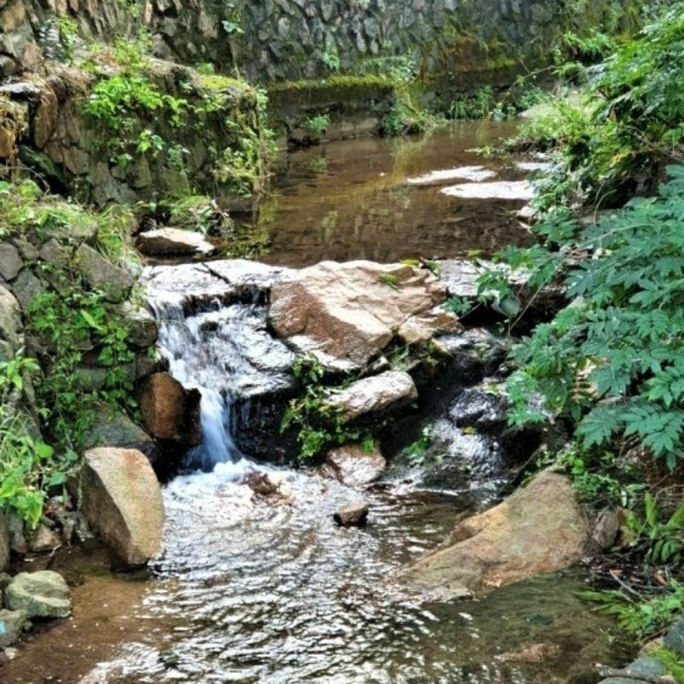 유명산 자연휴양림
