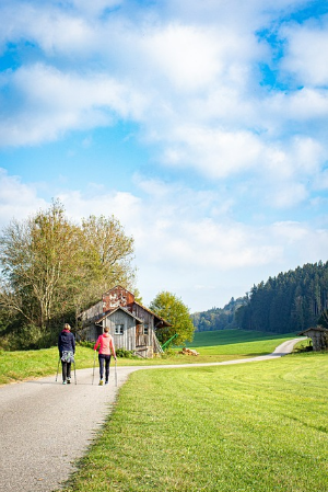 #산책칼로리계산기 #걷기칼로리계산 #건강관리 #운동습관 #건강계산기