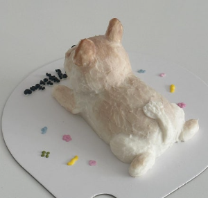 왈테이블 강아지 케이크 종류