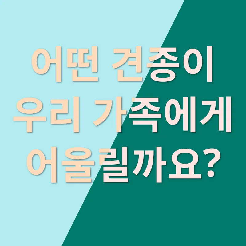 반려견 입양_2