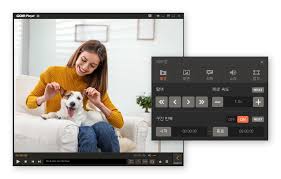 곰플레이어 무료 다운로드