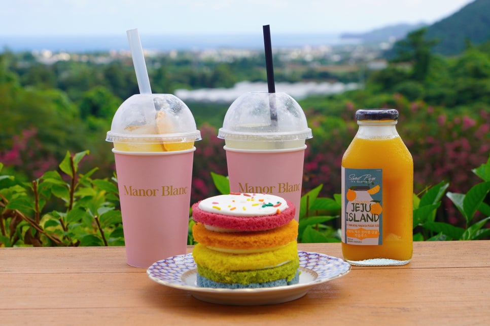제주 핑크뮬리 명소 마노르블랑