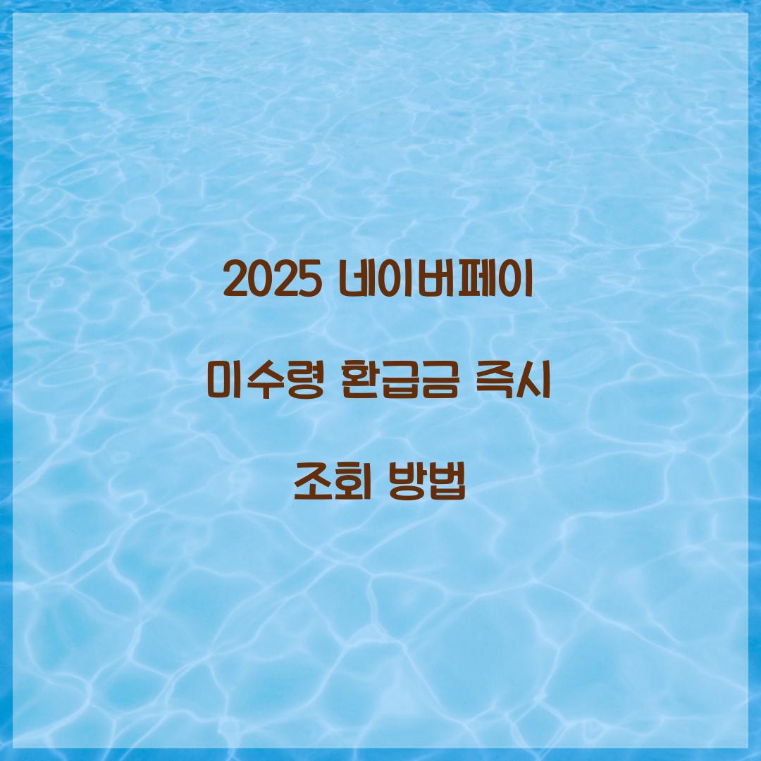 2025 네이버페이 미수령 환급금