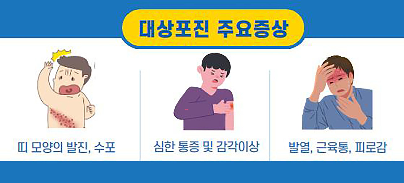 2025 대상포진 무료접종 대상자 및 신청방법, 혜택 알아보기