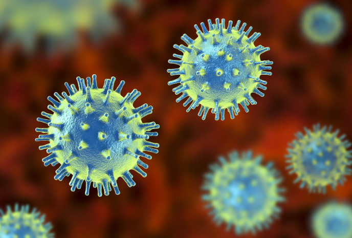 코로나 확진자 지원금 온라인 신청