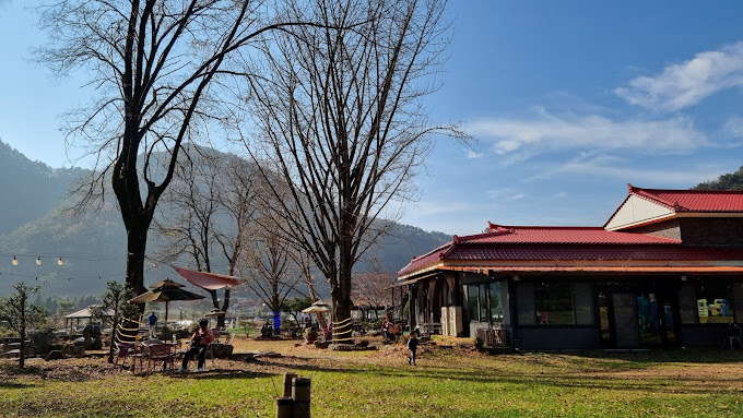 강원 평창 인생맛집, 추천맛집