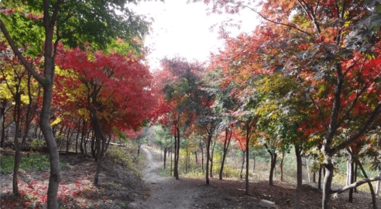불암산