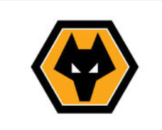 알트태그-울버햄튼 로고