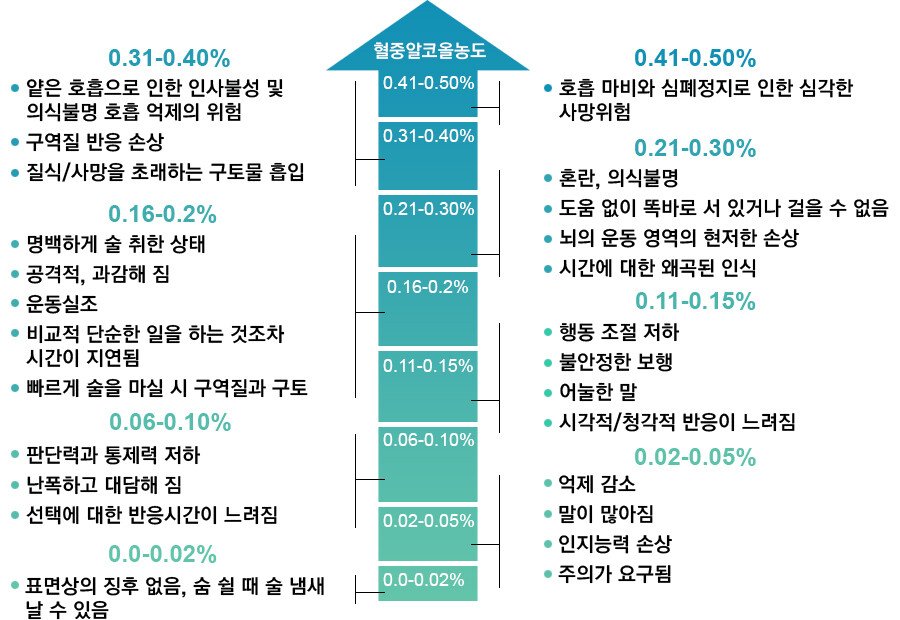 김새론 만취 면허취소12