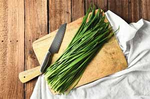 봄 제철 음식 부추
