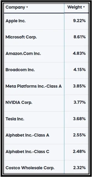 상위 10개 지수기업