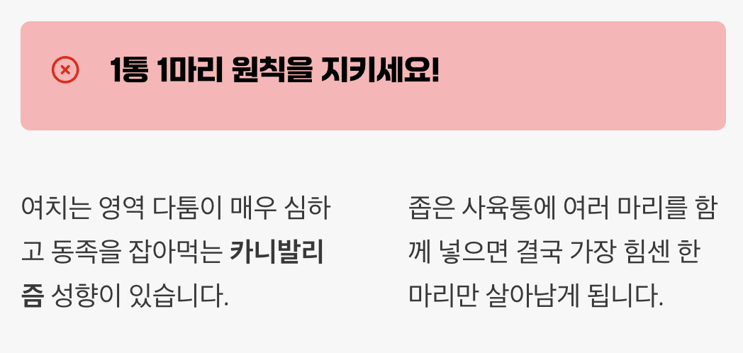 친구를 만들어 줄 때의 주의사항