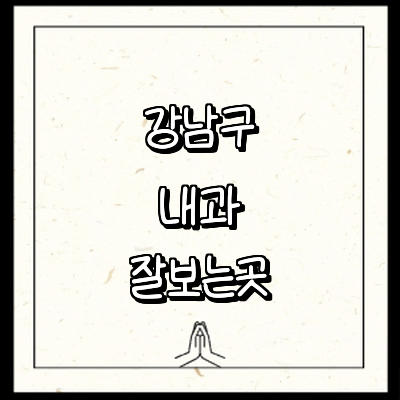 서울 강남구 내과