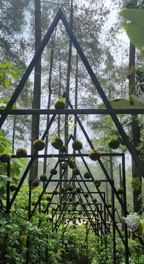 Orchid Forest Cikole