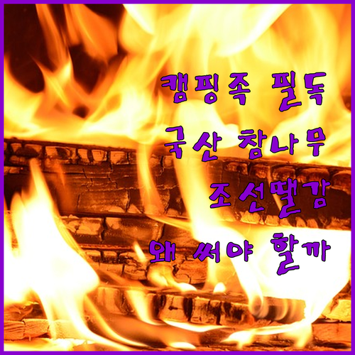 캠핑족 필독 국산 참나무 장작, 왜 ..