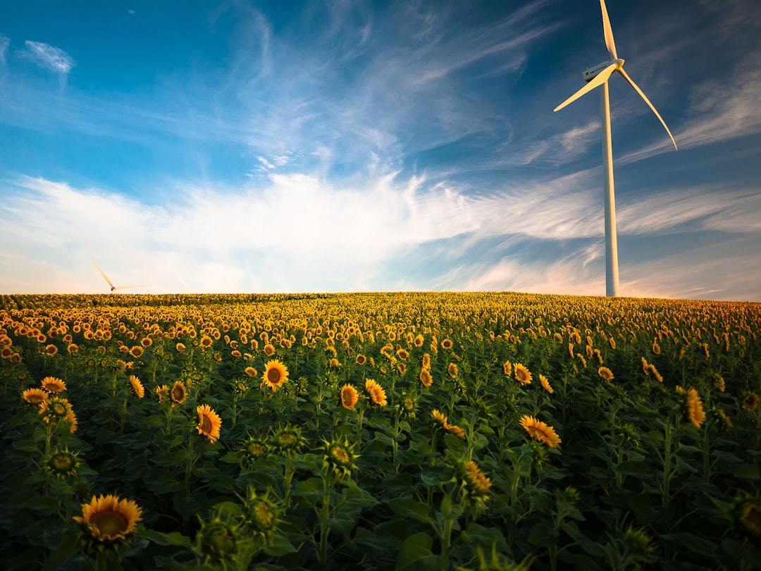 Energy efficiency
