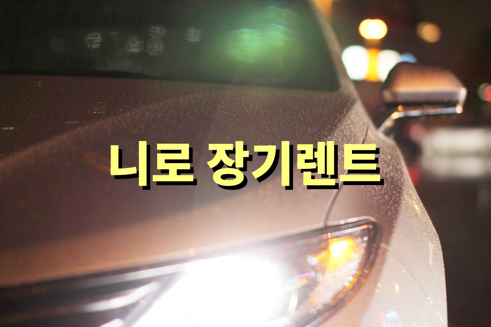 니로 장기렌트