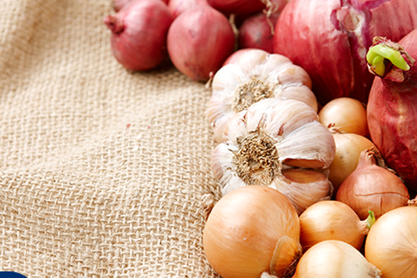 대상포진 초기증상과 도움되는 음식 중 하나 마늘