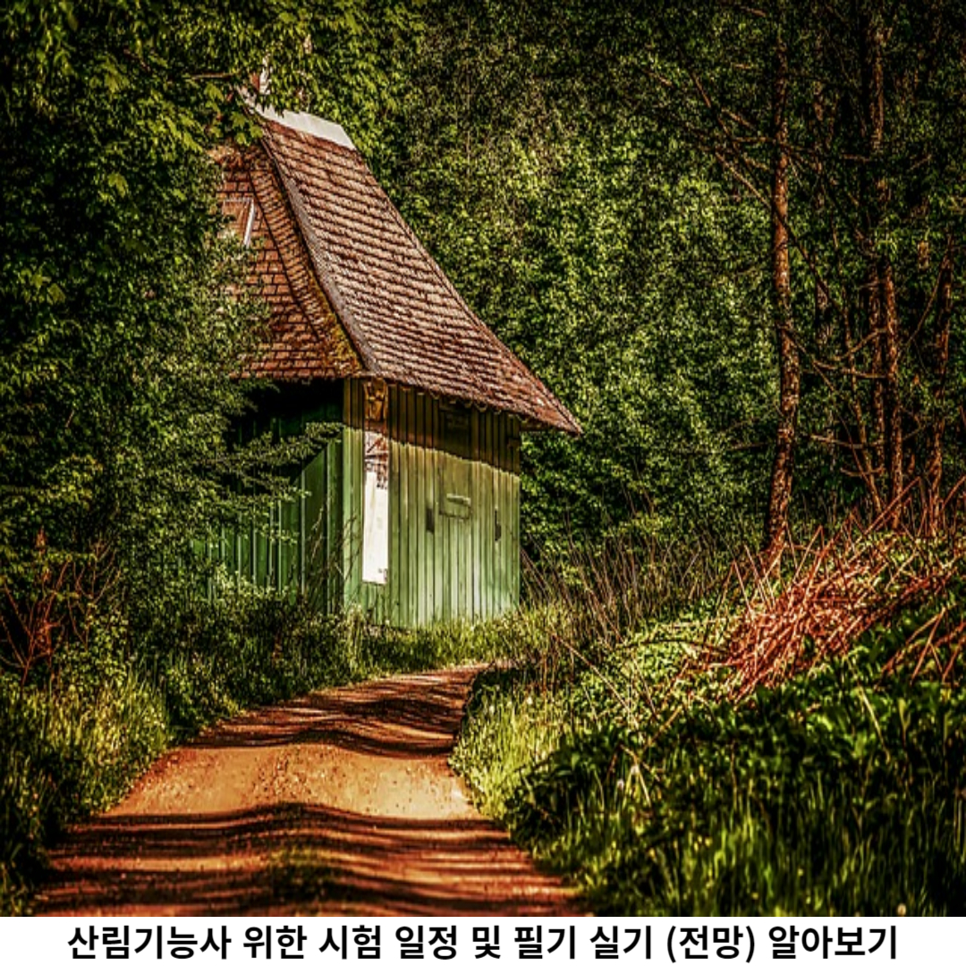 산림기능사 필기