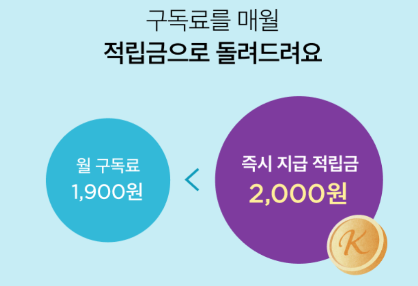 마켓컬리 제주 배송 가능 지역 검색 방법, 컬리멤버스 혜택 및 쿠폰팩, 추천상품 TOP5